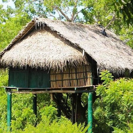 Yala Beddegama Eco Kataragama Exterior foto