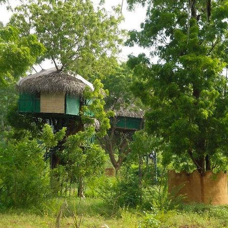 Yala Beddegama Eco Kataragama Exterior foto