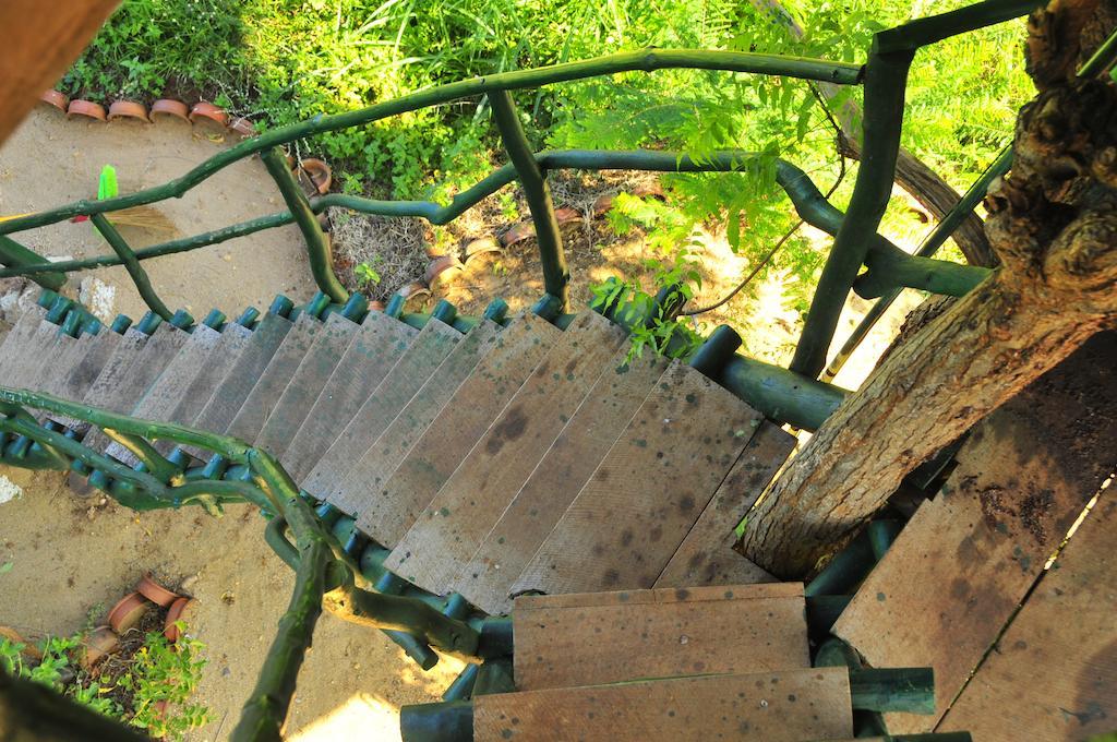 Yala Beddegama Eco Kataragama Exterior foto