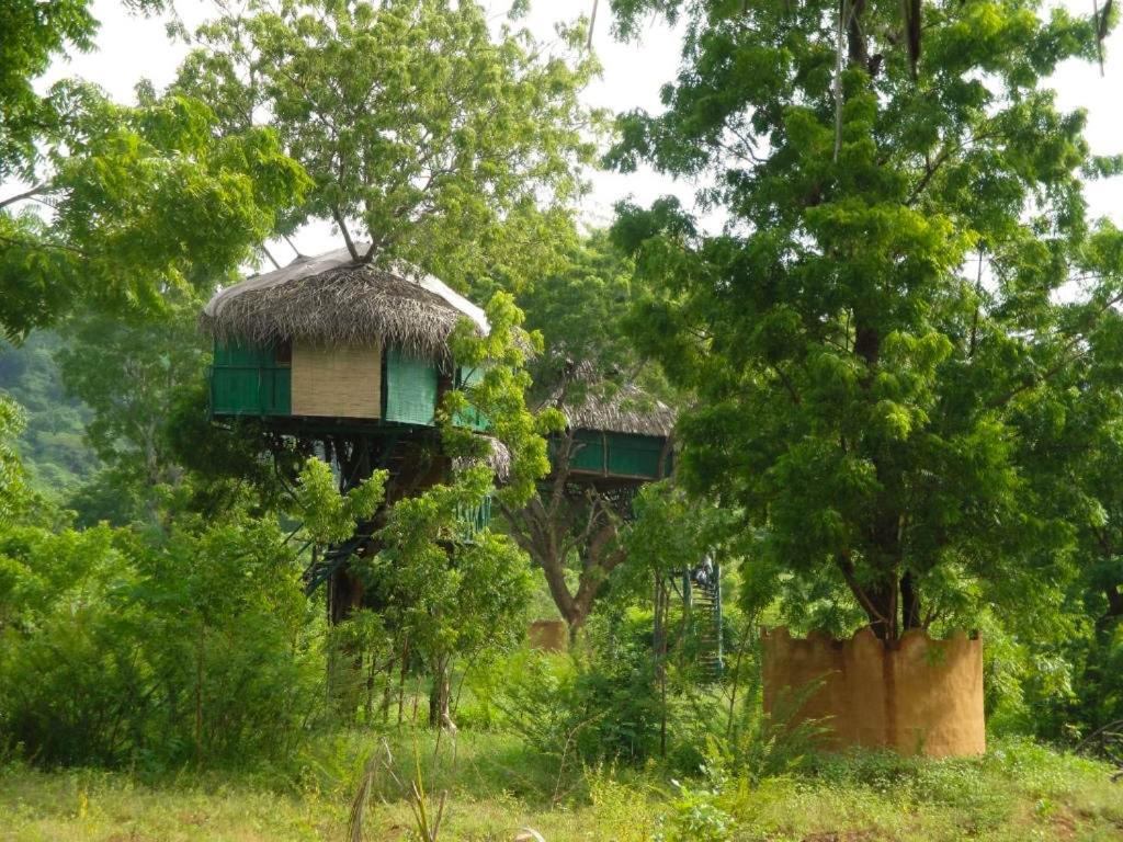 Yala Beddegama Eco Kataragama Exterior foto