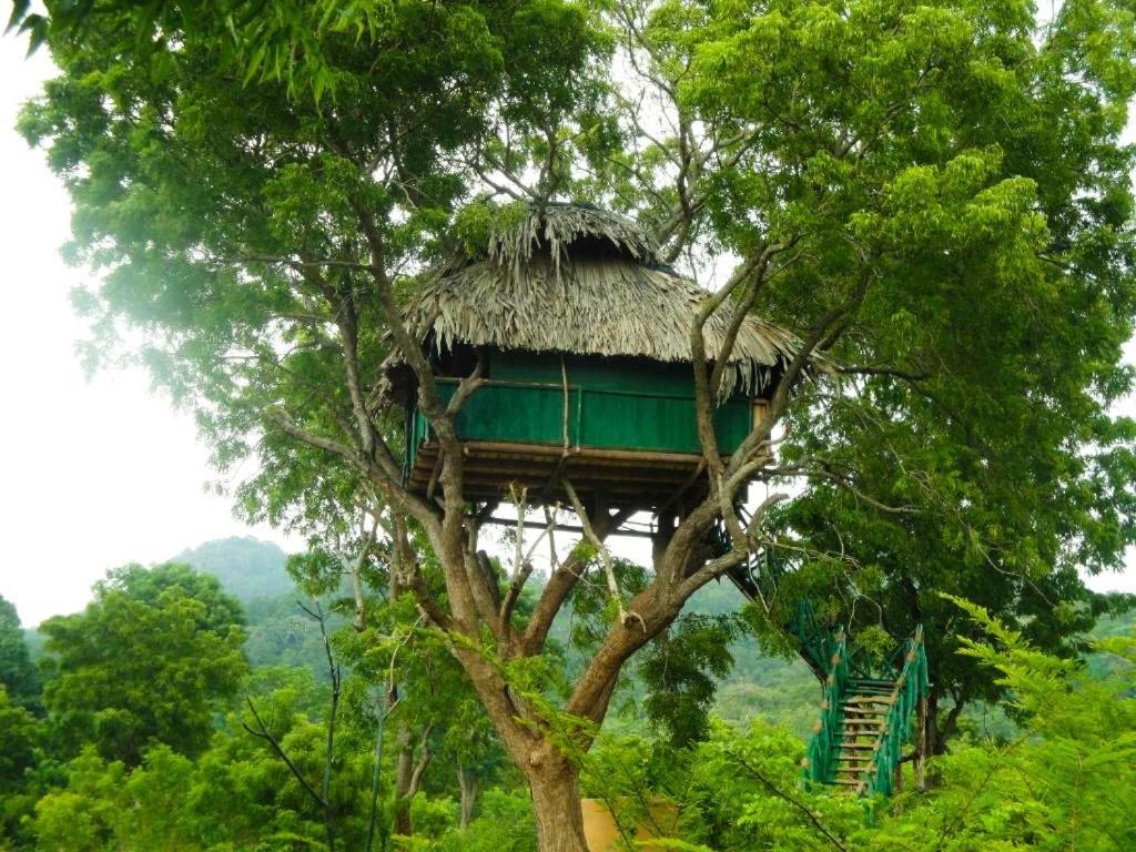 Yala Beddegama Eco Kataragama Exterior foto