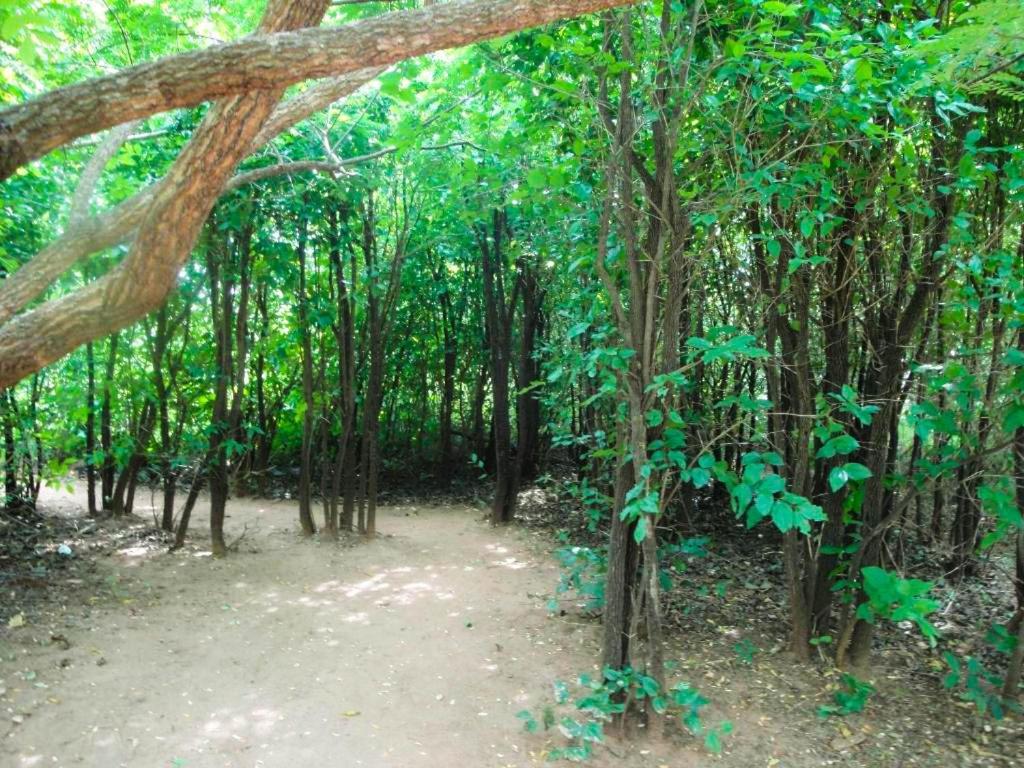 Yala Beddegama Eco Kataragama Exterior foto