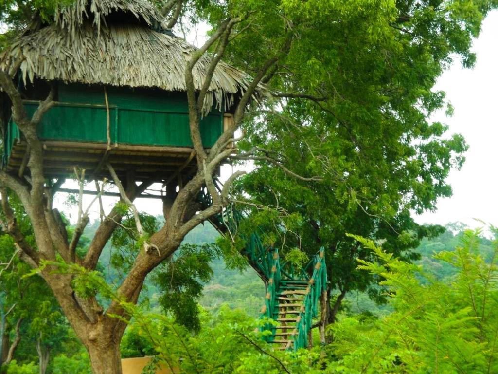 Yala Beddegama Eco Kataragama Exterior foto