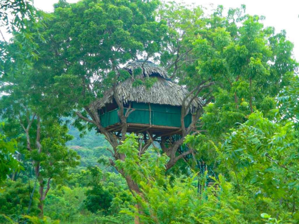 Yala Beddegama Eco Kataragama Exterior foto