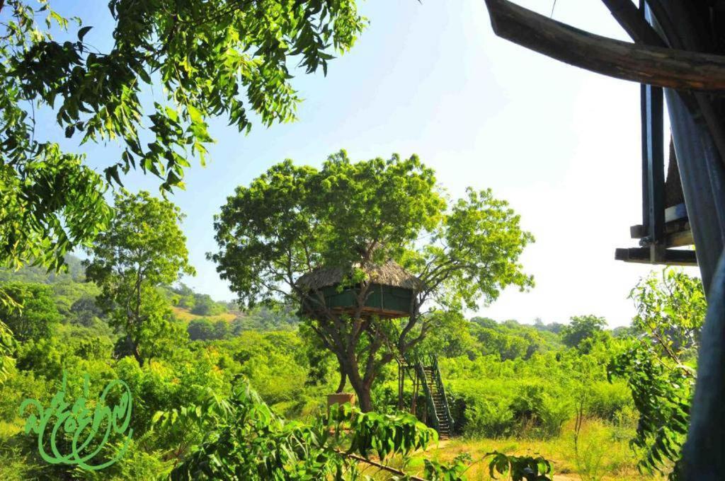 Yala Beddegama Eco Kataragama Exterior foto