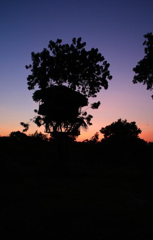 Yala Beddegama Eco Kataragama Exterior foto