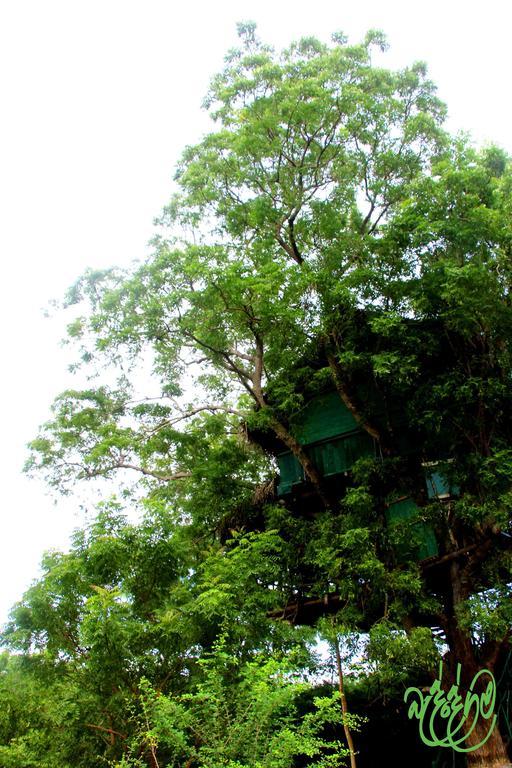 Yala Beddegama Eco Kataragama Exterior foto