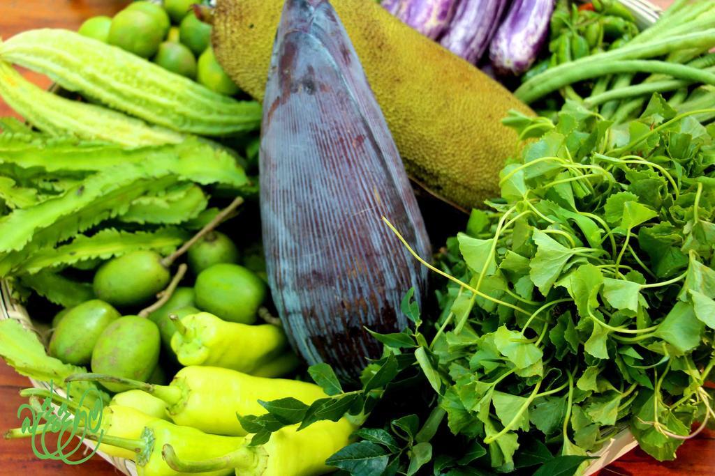 Yala Beddegama Eco Kataragama Exterior foto