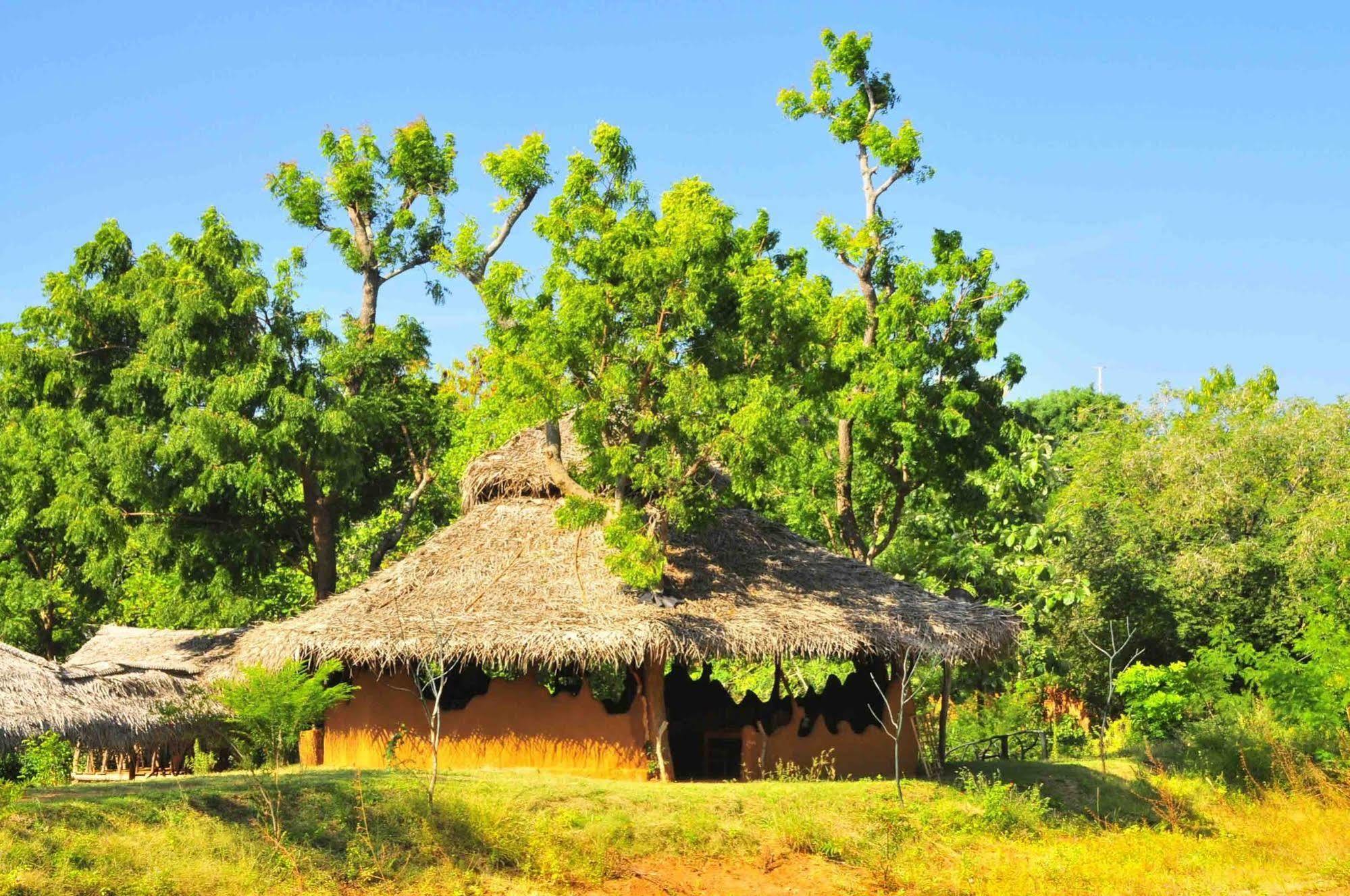 Yala Beddegama Eco Kataragama Exterior foto