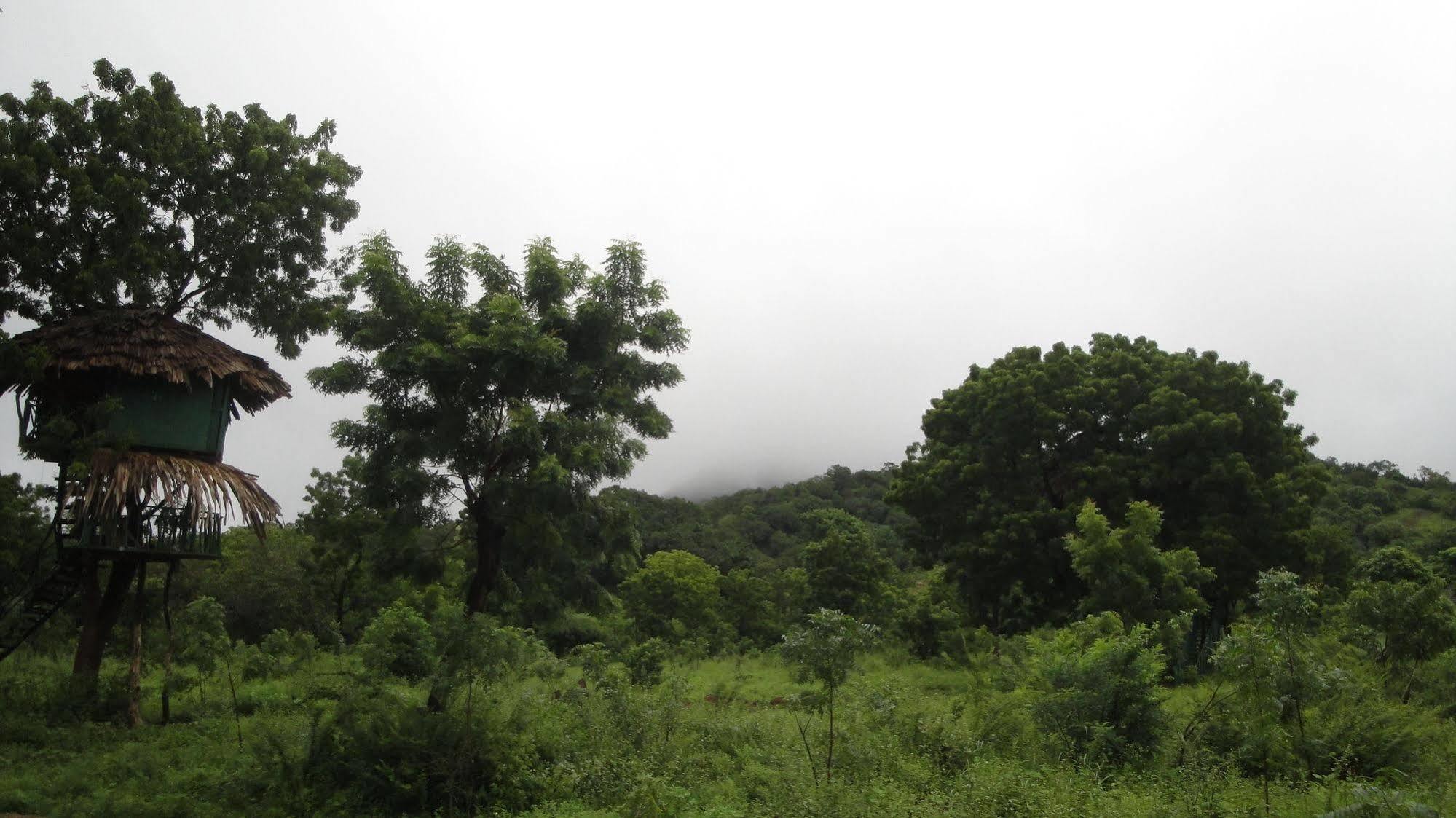 Yala Beddegama Eco Kataragama Exterior foto